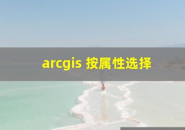 arcgis 按属性选择